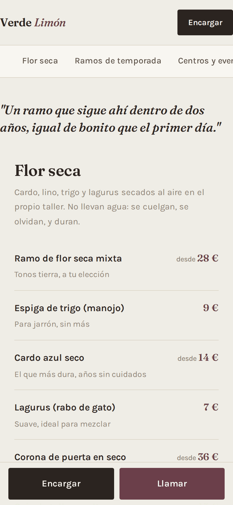 Web hecha por Rebix para Verde Limón, Floristería en Salamanca